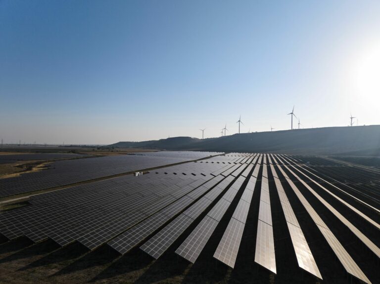 European Union visual data 6